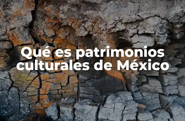 La importancia de los patrimonios culturales en la identidad nacional
