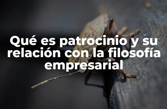 Qué es Patrocinio y Su Relación con la Filosofía Empresarial