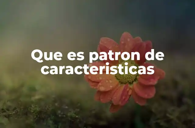Que es Patron de Caracteristicas