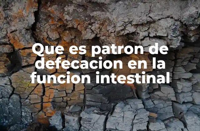 Que es Patron de Defecacion en la Funcion Intestinal
