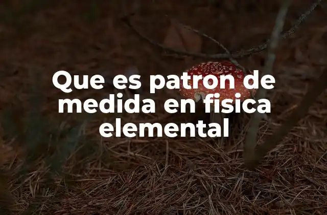 Que es Patron de Medida en Fisica Elemental