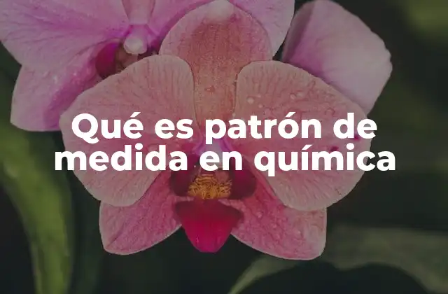 Qué es Patrón de Medida en Química