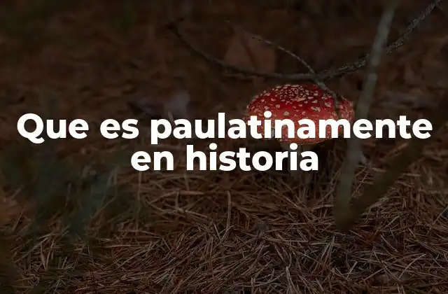 Que es Paulatinamente en Historia