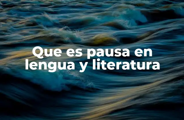 Que es Pausa en Lengua y Literatura