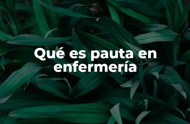 Qué es Pauta en Enfermería