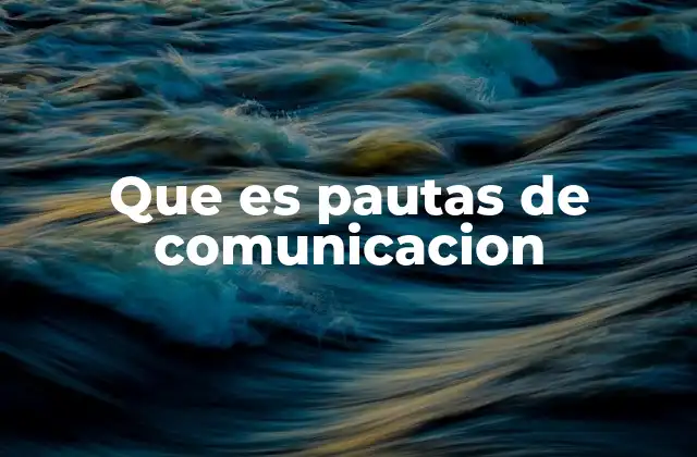 Que es Pautas de Comunicacion