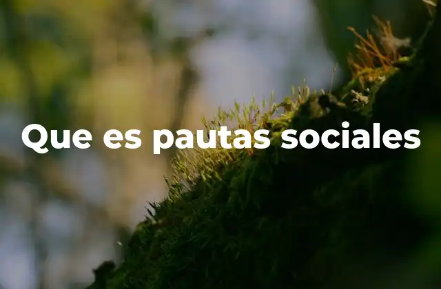 Que es Pautas Sociales