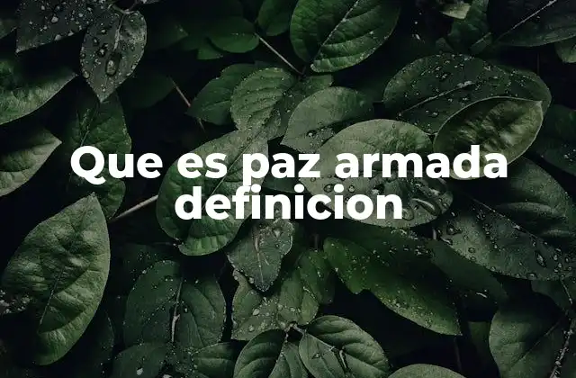 Que es Paz Armada Definicion