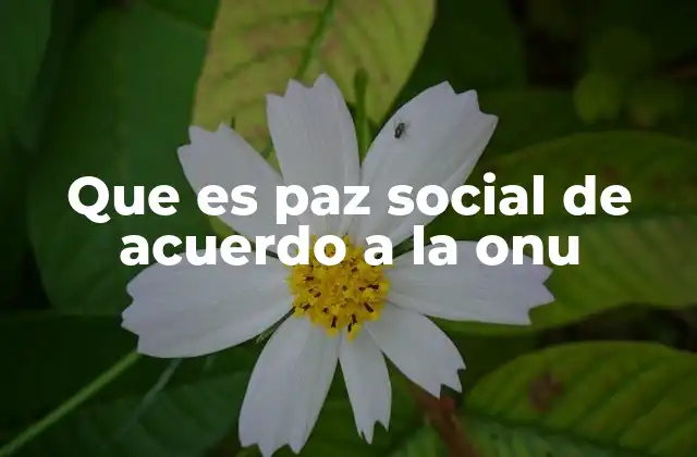 Que es Paz Social de Acuerdo a la Onu