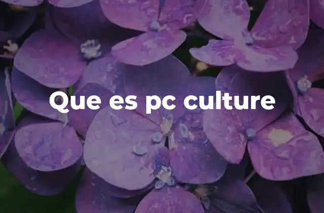 Que es Pc Culture
