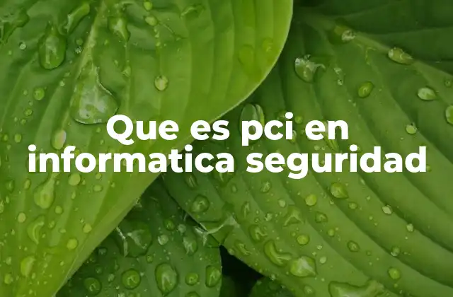 Que es Pci en Informatica Seguridad