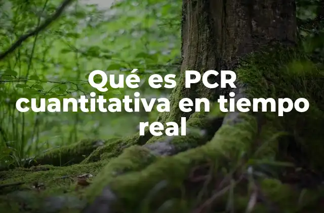 Qué es Pcr Cuantitativa en Tiempo Real