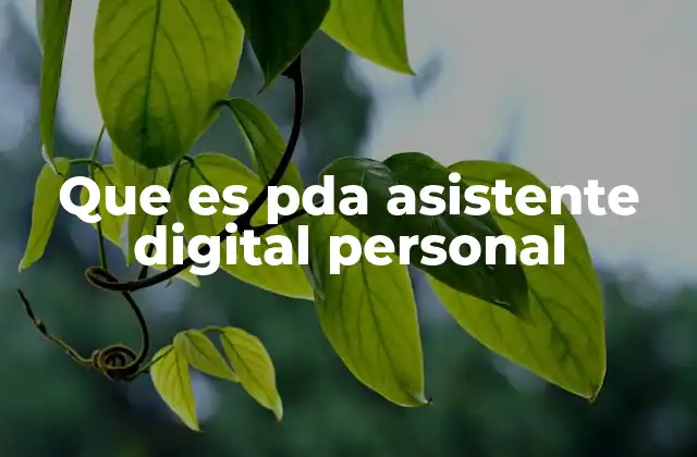 Que es Pda Asistente Digital Personal