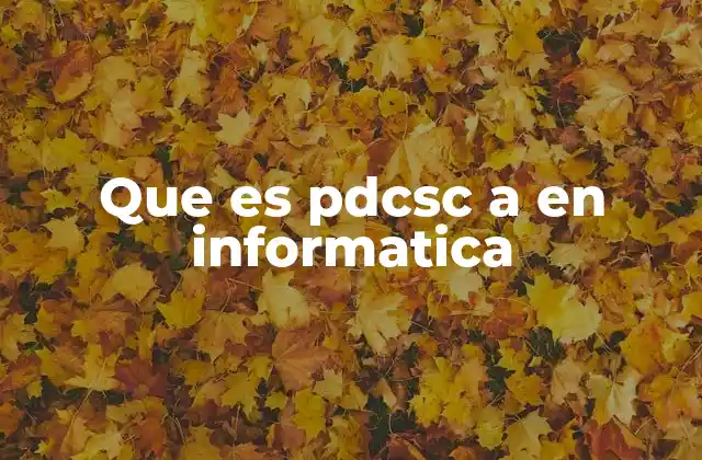 Que es Pdcsc a en Informatica
