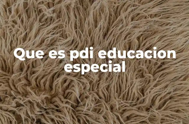 Que es Pdi Educacion Especial