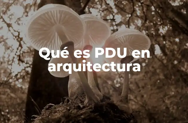 Qué es Pdu en Arquitectura