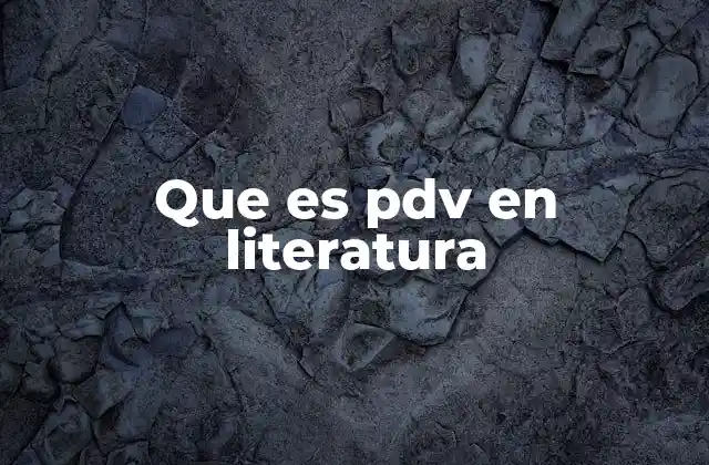 Que es Pdv en Literatura