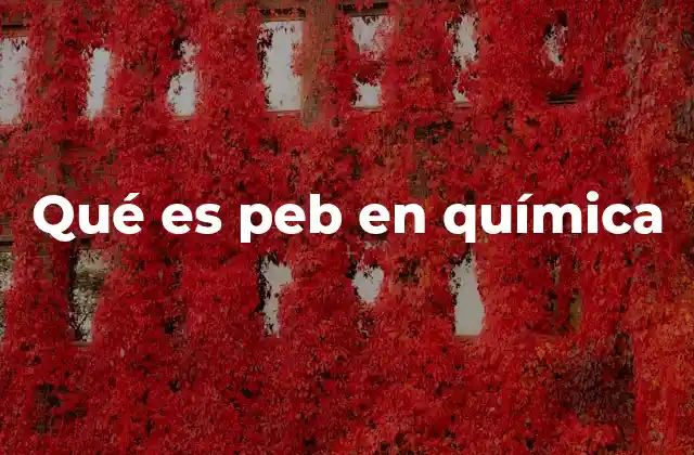 El PEB en el contexto de la electroquímica