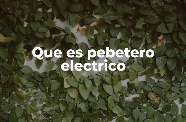 Que es Pebetero Electrico