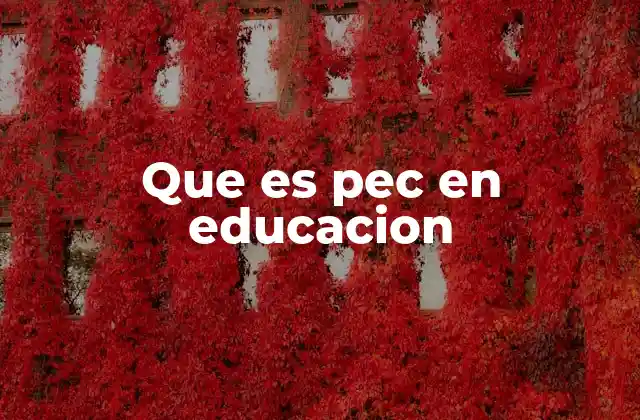 El papel del PEC en la organización del aula