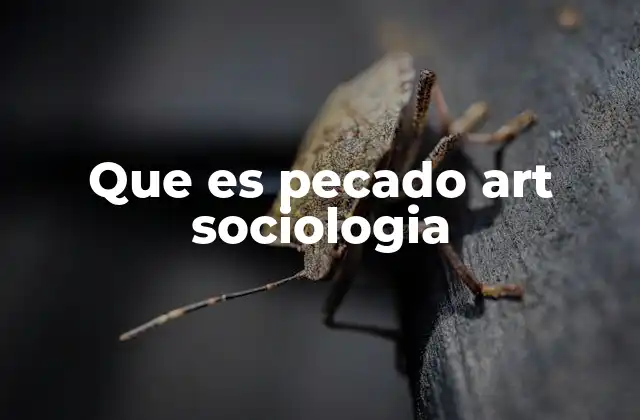 Que es Pecado Art Sociologia