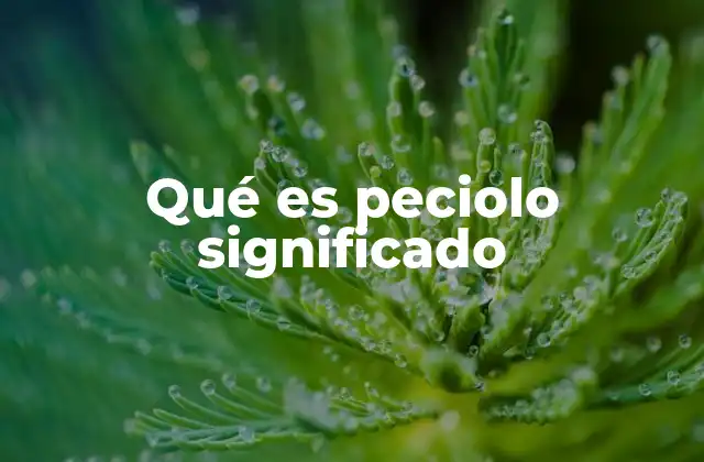 Qué es Peciolo Significado