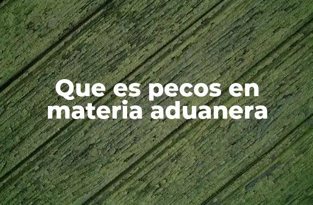 El impacto de la digitalización en el comercio exterior