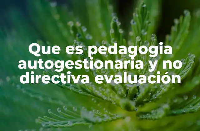 Que es Pedagogia Autogestionaria y No Directiva Evaluación