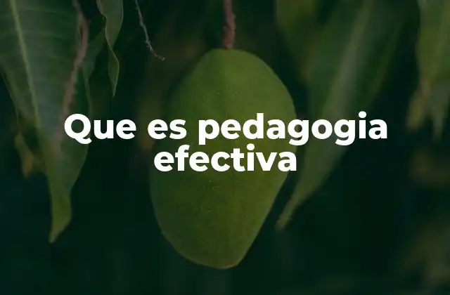 Que es Pedagogia Efectiva