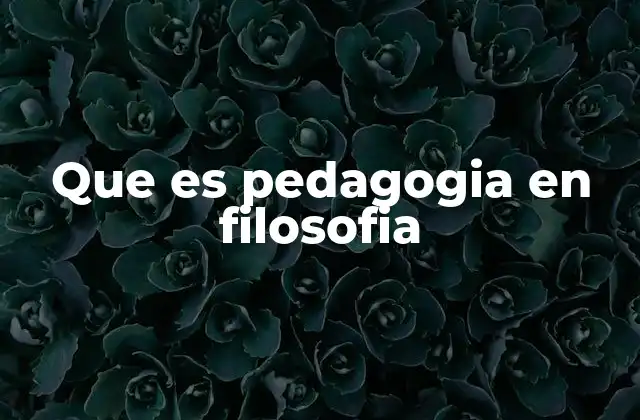 Que es Pedagogia en Filosofia