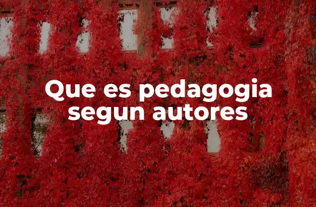 Que es Pedagogia Segun Autores