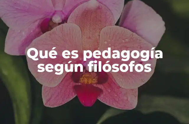 Qué es Pedagogía según Filósofos