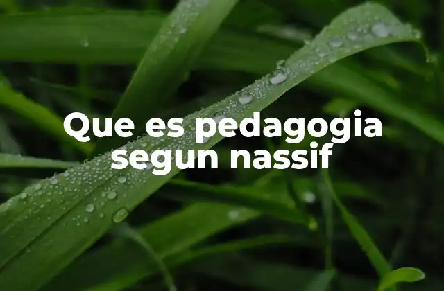 Que es Pedagogia Segun Nassif 2 La pedagogía como ciencia social crítica