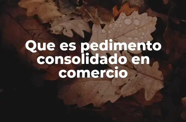 Que es Pedimento Consolidado en Comercio