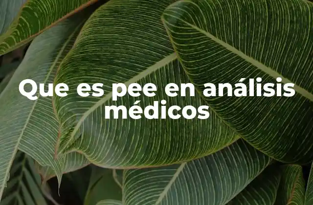 Que es Pee en Análisis Médicos