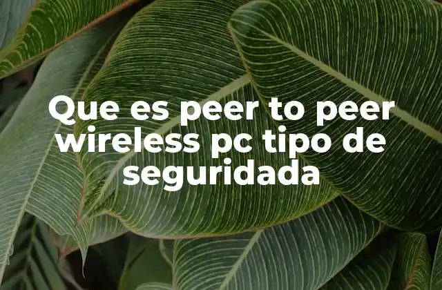 Que es Peer To Peer Wireless Pc Tipo de Seguridada