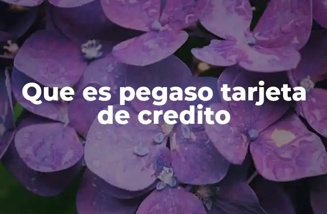 Que es Pegaso Tarjeta de Credito