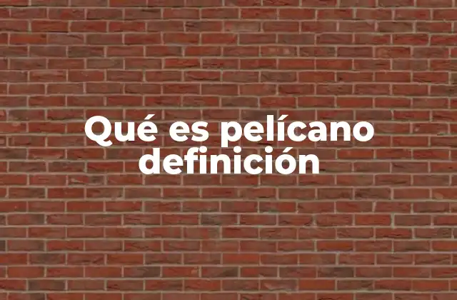 Características físicas y hábitos del pelícano