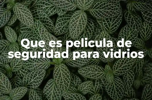 Que es Pelicula de Seguridad para Vidrios