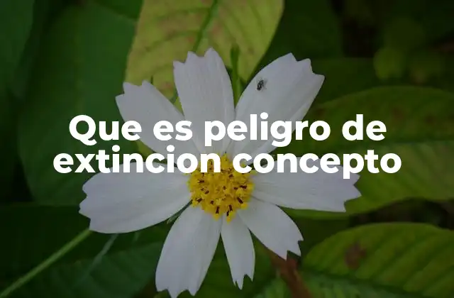 Que es Peligro de Extincion Concepto 2 El impacto del peligro de extinción en los ecosistemas