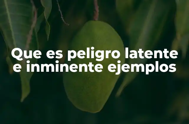 Que es Peligro Latente e Inminente Ejemplos