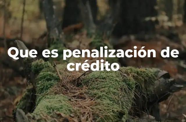 Que es Penalización de Crédito