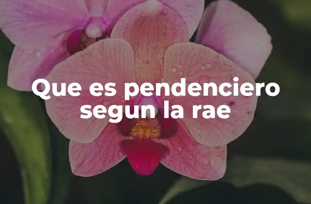 Que es Pendenciero Segun la Rae