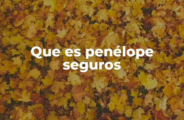 Que es Penélope Seguros