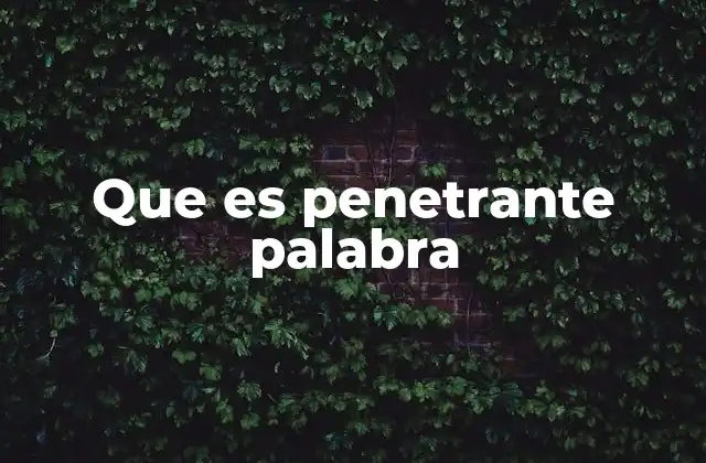 Que es Penetrante Palabra