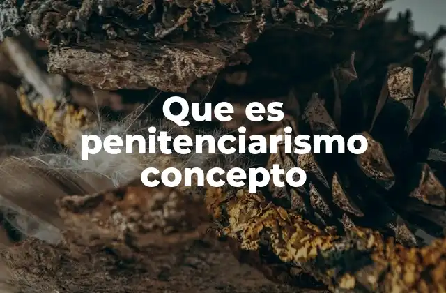 Que es Penitenciarismo Concepto