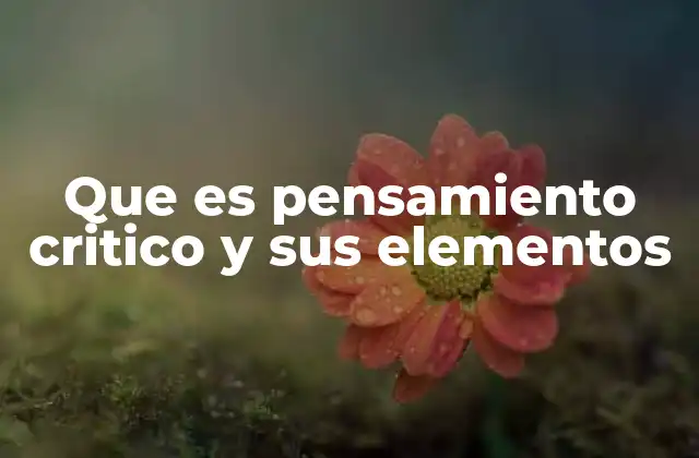 Que es Pensamiento Critico y Sus Elementos