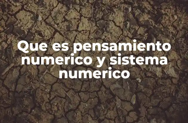 Que es Pensamiento Numerico y Sistema Numerico