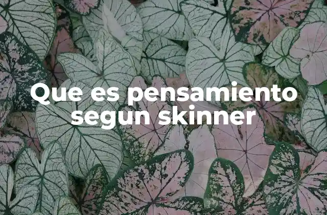 Que es Pensamiento Segun Skinner