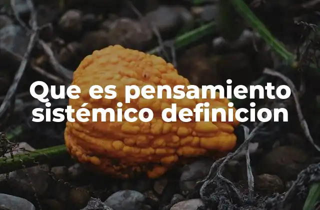 Que es Pensamiento Sistémico Definicion